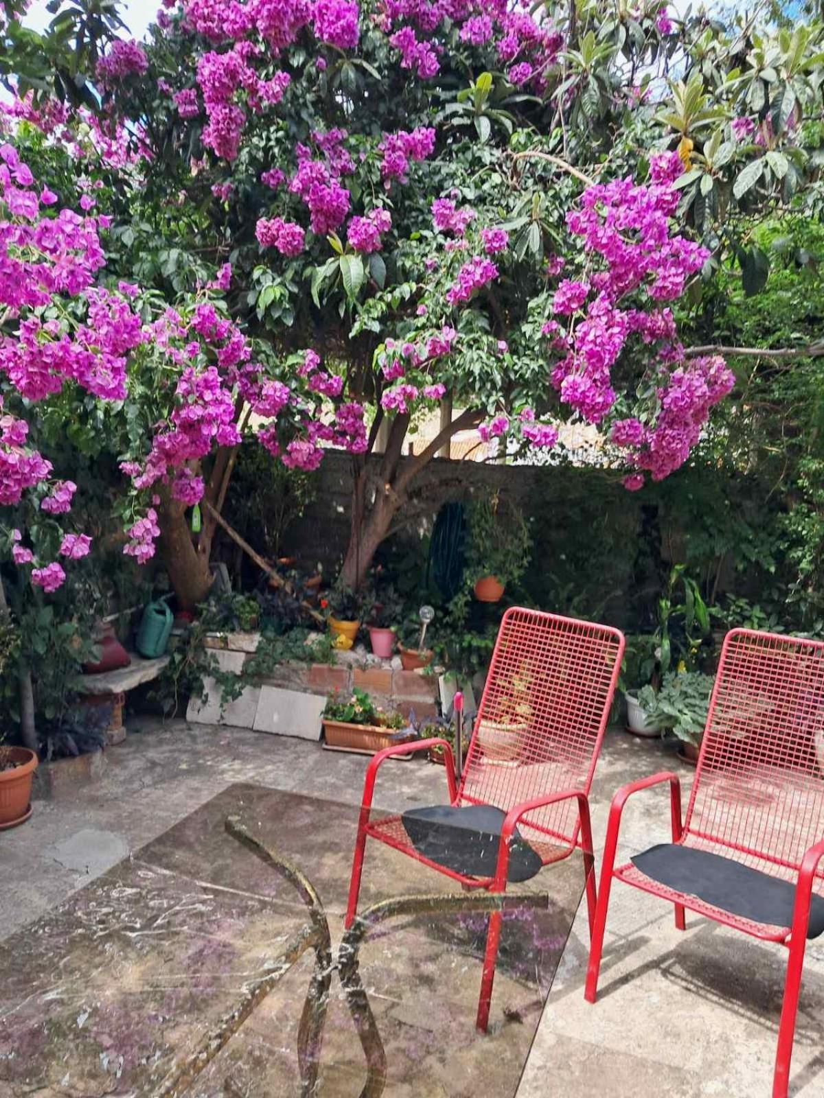 Old Town Green Oasis House Dubrovnik Exterior foto